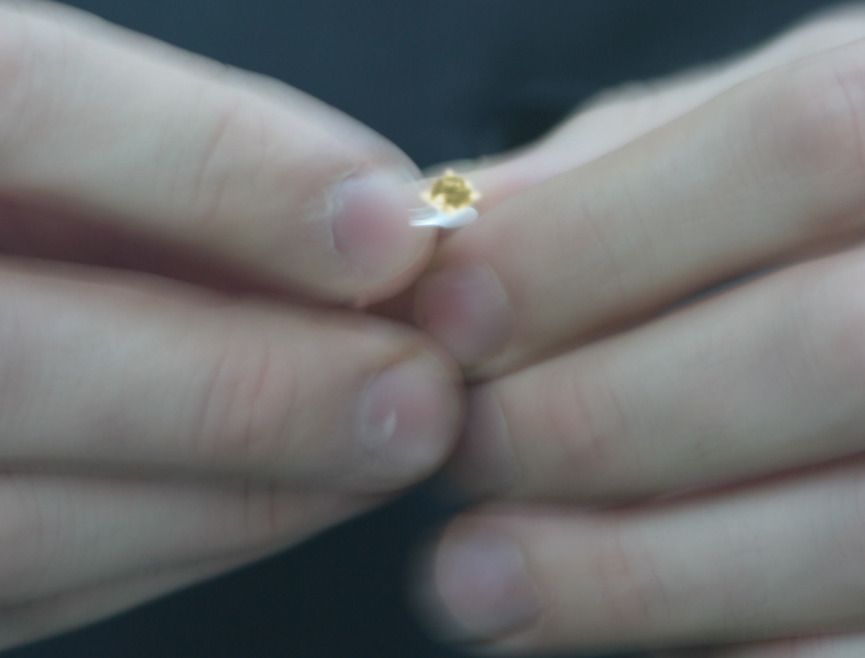 Engagement Rings Robert Young Jewellery